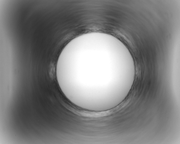 X0000096660036200802261353