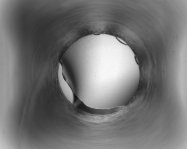 X0000096660037200802261353