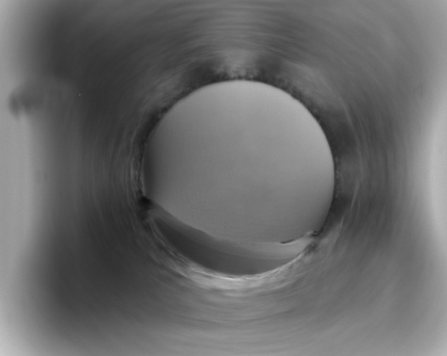 X0000096660039200802261352