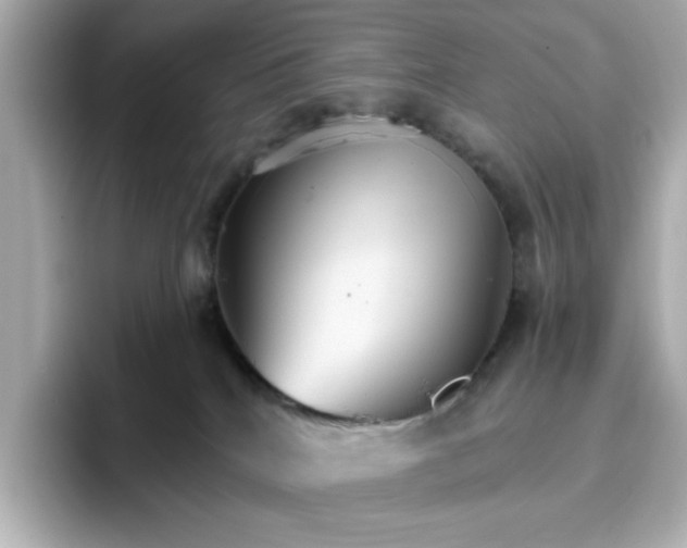 X0000096660040200802261352