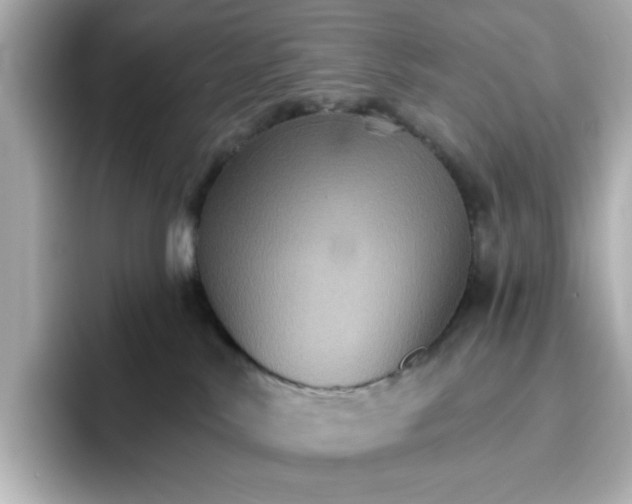 X0000096660042200802261352