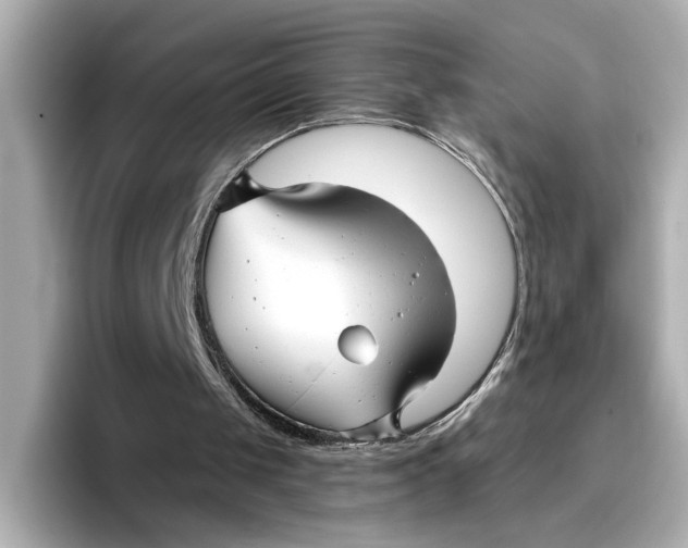 X0000096660049200802261352