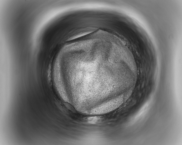 X0000096660050200802261352