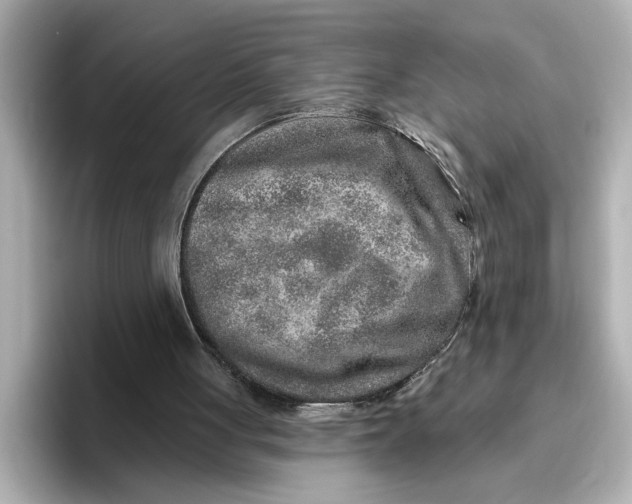 X0000096660051200802261352