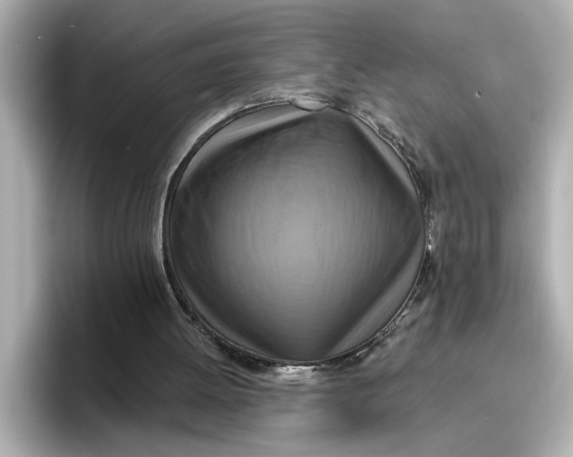 X0000096660052200802261352