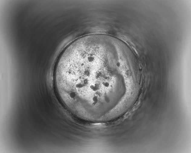 X0000096660053200802261352