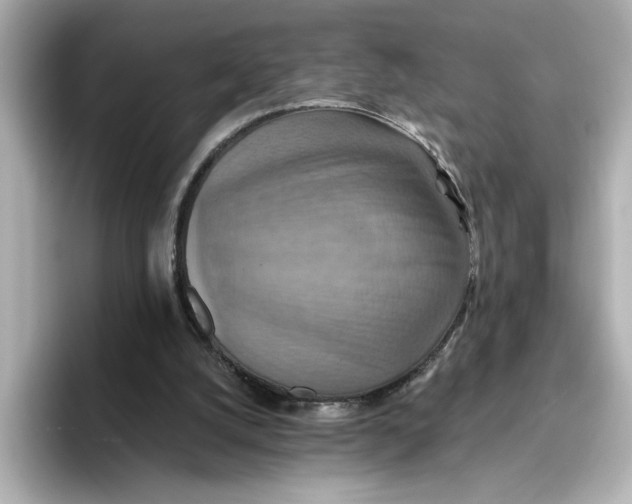 X0000096660056200802261352