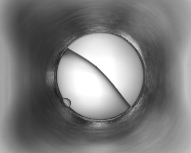 X0000096660057200802261352