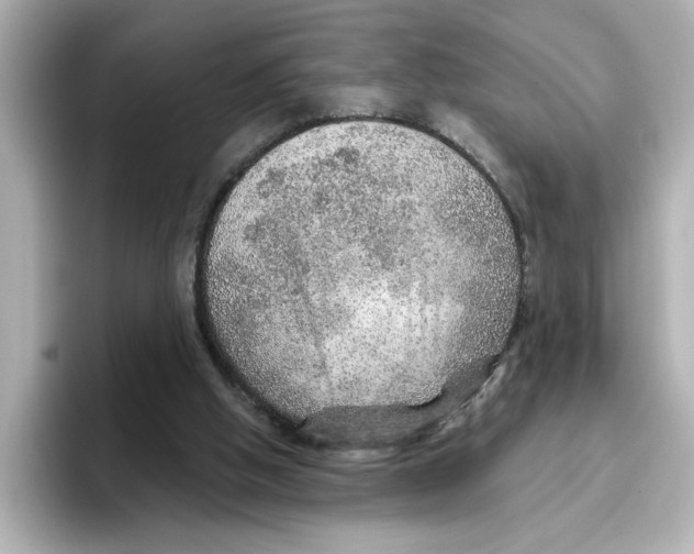 X0000096660058200802261352