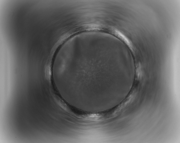 X0000096660059200802261352