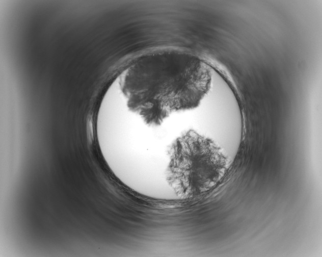 X0000096660061200802261352