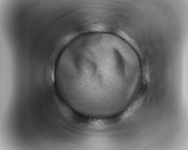 X0000096660062200802261352