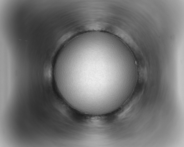 X0000096660064200802261352