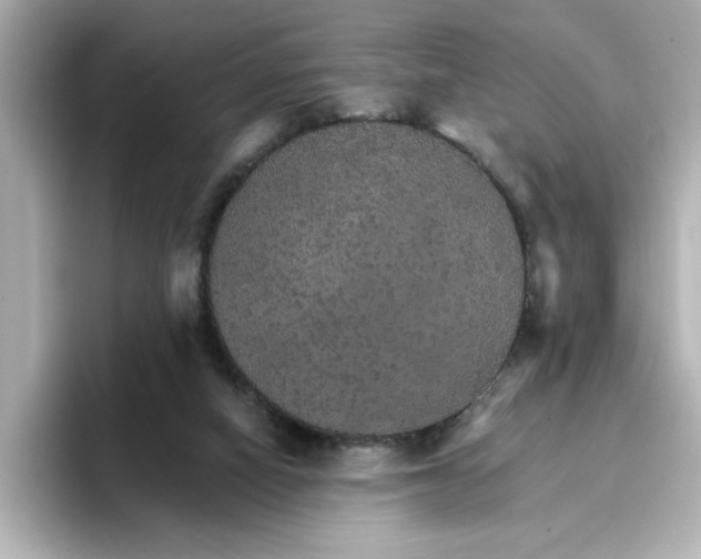 X0000096660066200802261352