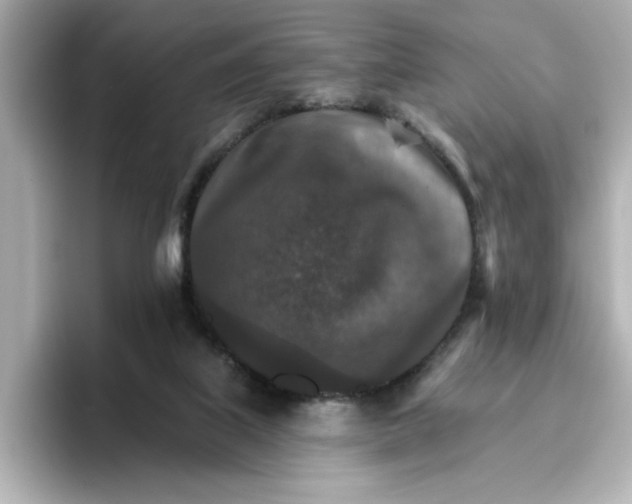 X0000096660067200802261352