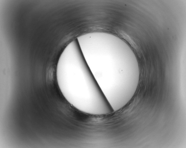 X0000096660071200802261352