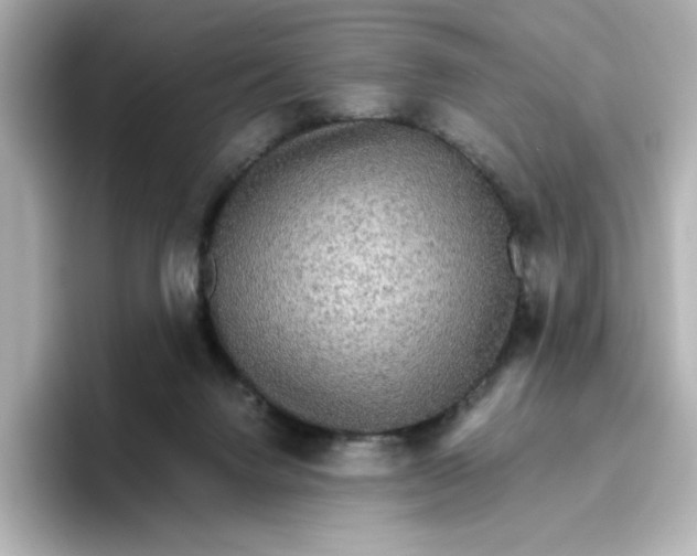 X0000096660072200802261352