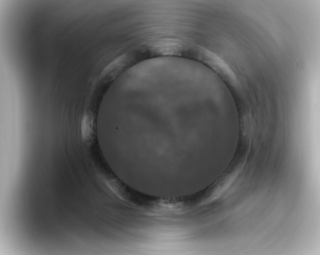 X0000096660073200802261352