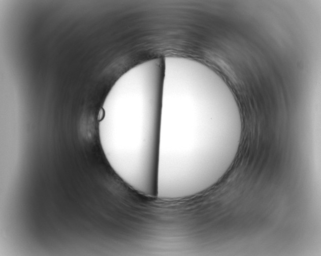 X0000096660077200802261352