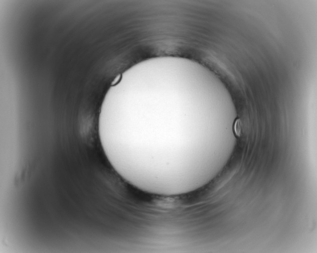 X0000096660079200802261352