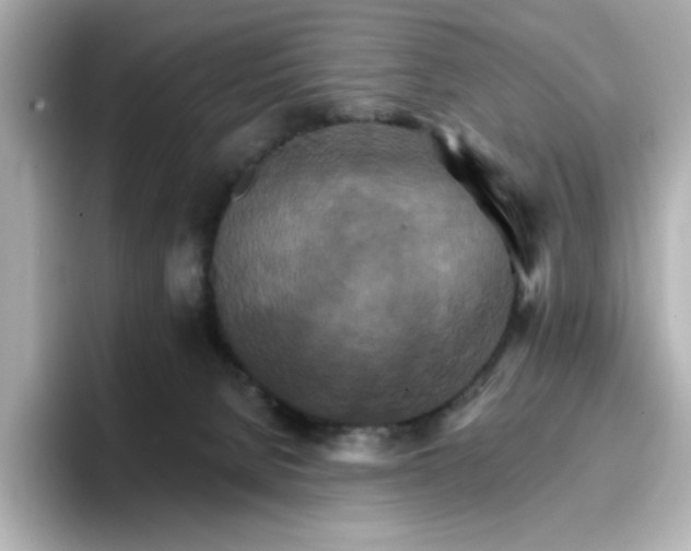 X0000096660080200802261352