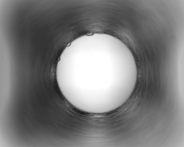 X0000096660081200802261352