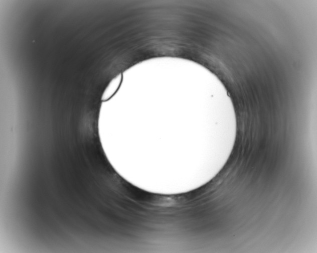 X0000096660083200802261352