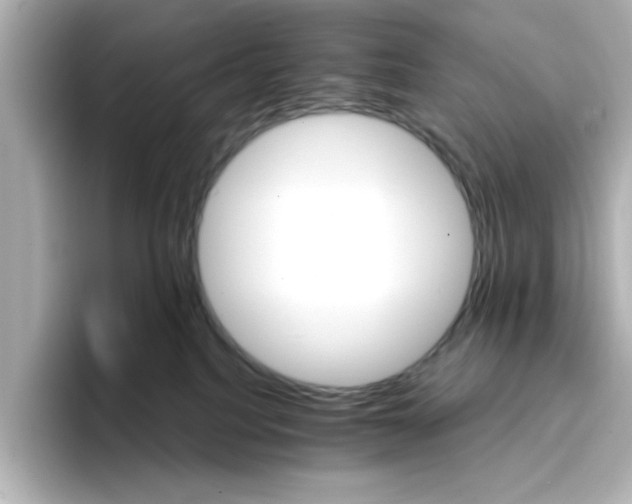 X0000096660088200802261352