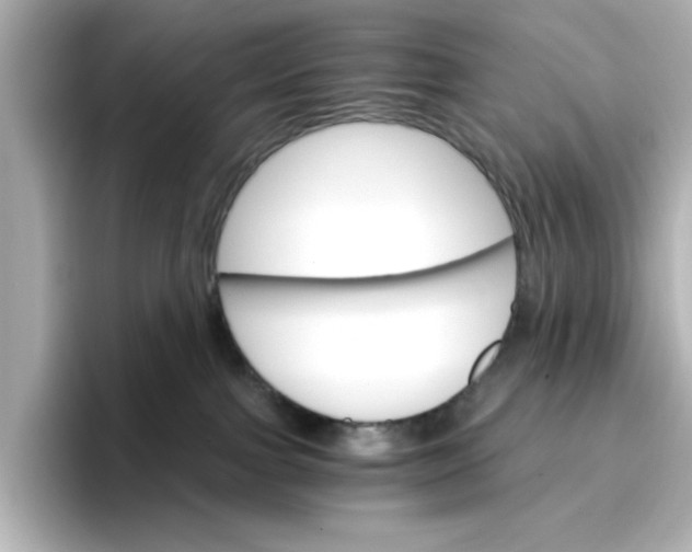 X0000096660091200802261352