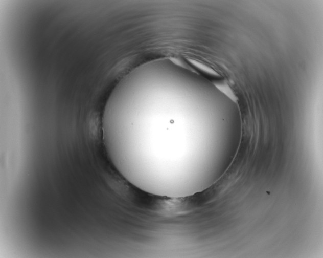 X0000096660092200802261352