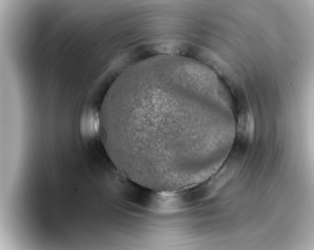 X0000096660095200802261352