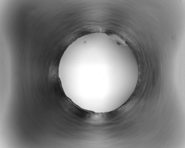 X0000096660096200802261352