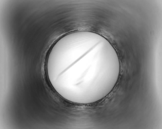 X0000096660098200802261352