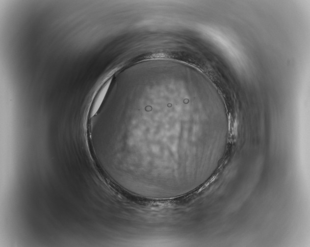 X0000096660099200802261352