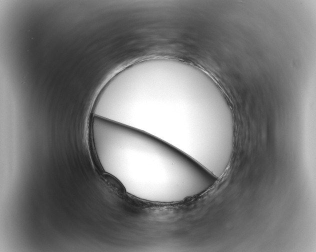 X0000096660100200802261352