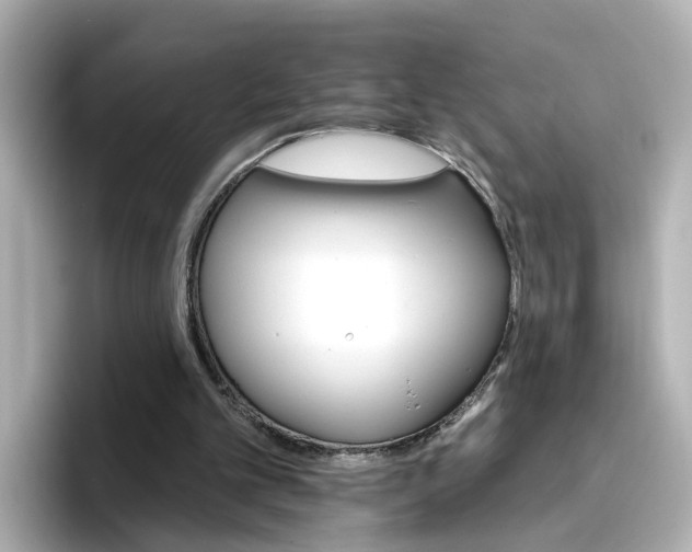 X0000096660101200802261352