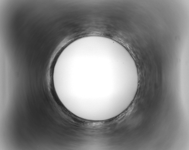 X0000096660102200802261352