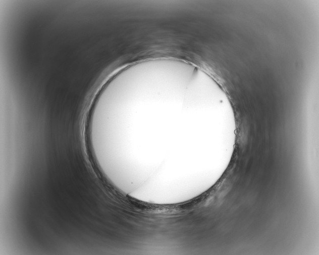 X0000096660103200802261352