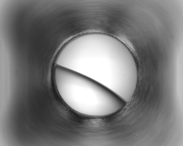 X0000096660108200802261351