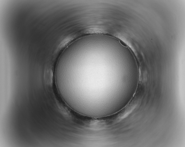 X0000096660109200802261351