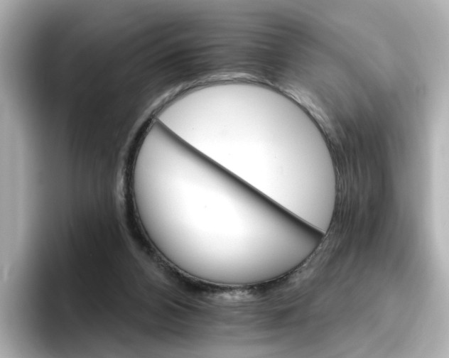 X0000096660112200802261351