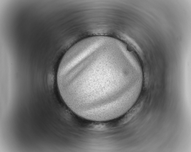 X0000096660113200802261351