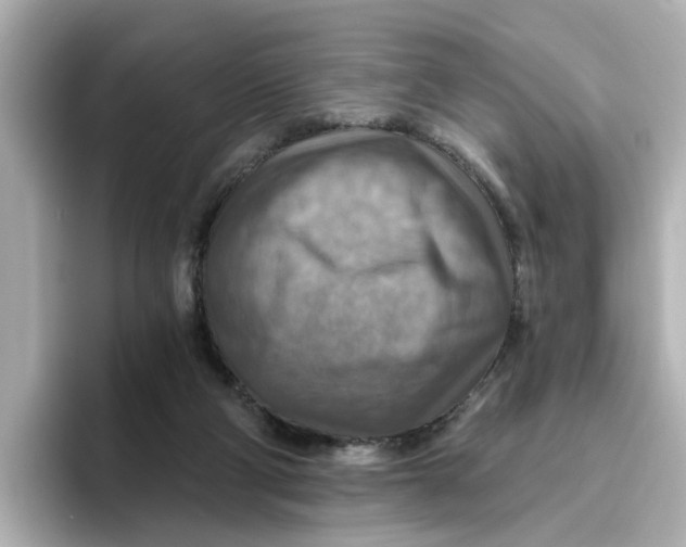 X0000096660114200802261351