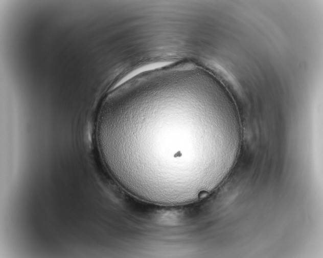 X0000096660115200802261351