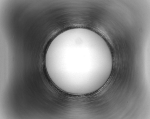 X0000096660116200802261351