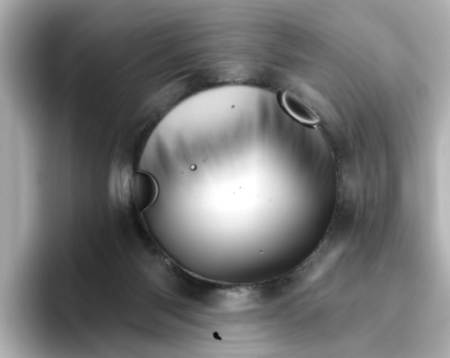 X0000096660118200802261351