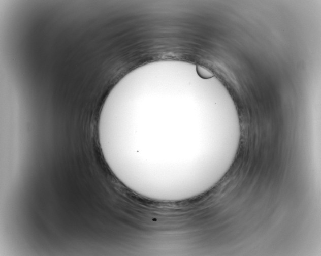 X0000096660123200802261351