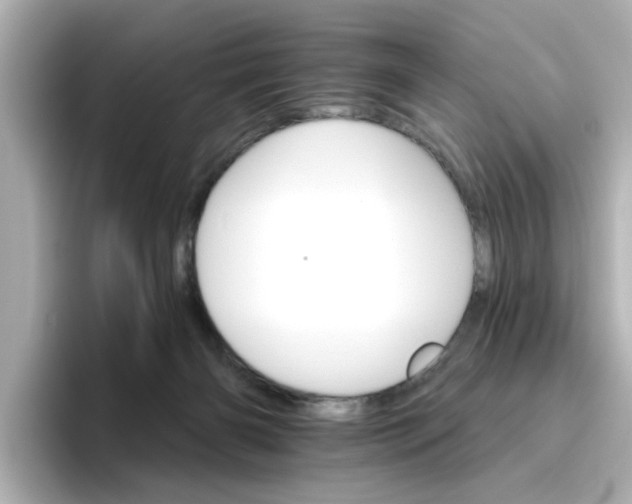 X0000096660126200802261351