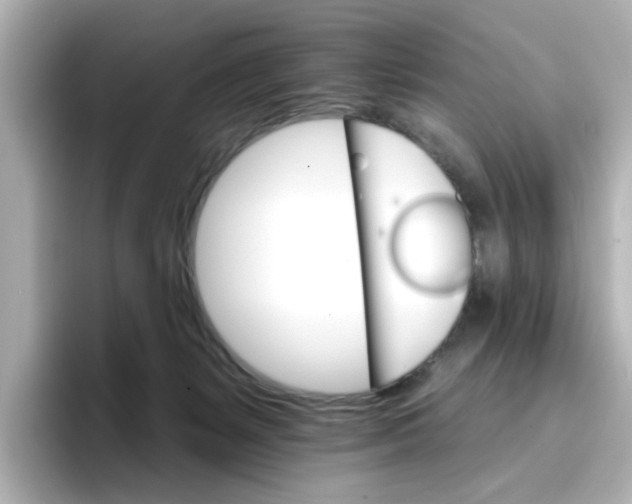 X0000096660127200802261351