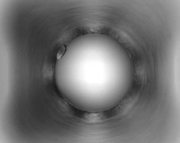 X0000096660129200802261351